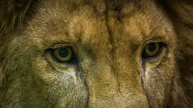 7 trucos mentales para tener más confianza en si mismo